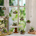 56 Clear Crystal Glass Tealight Holders